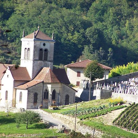 Villa Gite Du Vieux Tonneau Cerdon  Exterior foto